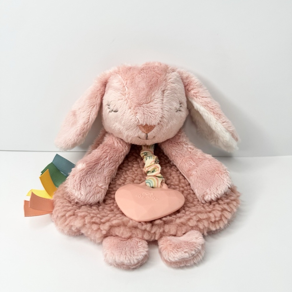 Itzy Ritzy 9" Pink Bunny Plush Lovey Sherpa Crinkle with Silicone Heart Teether